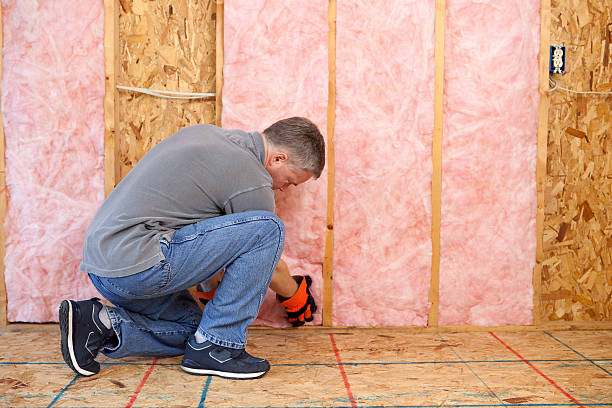 Best Energy-efficient Insulation  in USA